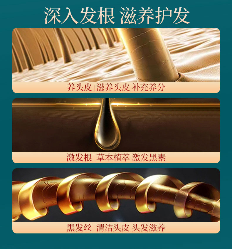 何首烏靈芝草本洗發液深入發根滋養護發-修康藥業 何首烏靈芝草本洗發液深入發根滋養護發-修康藥業