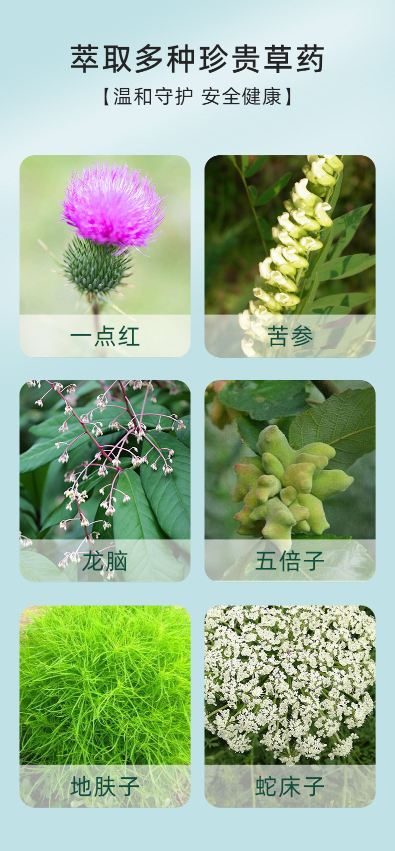 男士降敏膏萃取多種珍貴草藥 男士降敏膏萃取多種珍貴草藥